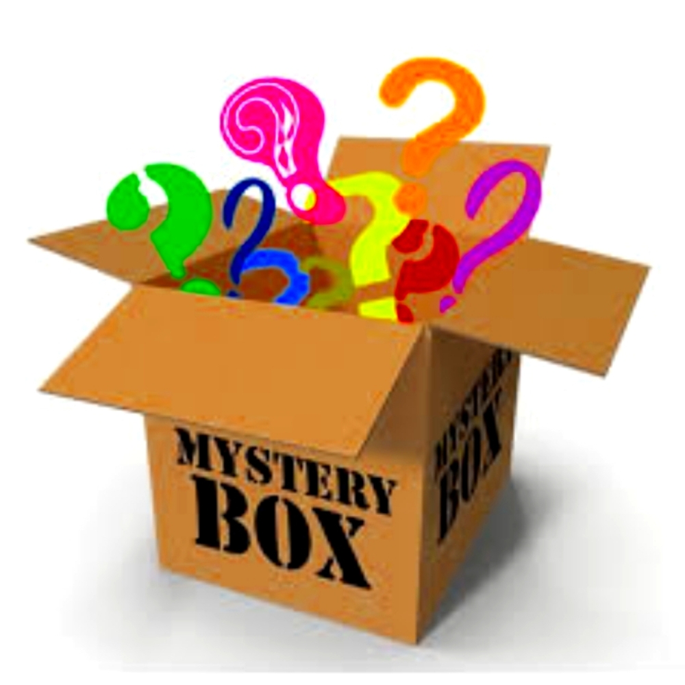 MYSTERY PLUS SIZE RESELLERS BOX - 10 PC - Torrid! Big brands!